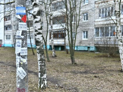 В Ярославле обследовали территории Заволжского района