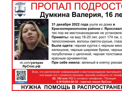 В Ярославской области ищут пропавшую 16-летнюю девушку