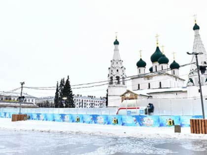 В Ярославле появится горячая линия по уборке туристических объектов