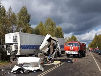 Заплатят по миллиону: начинается сбор документов для выплат пострадавшим в крупной аварии на трассе Ярославль – Иваново