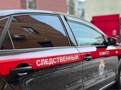 Била по голове: в Ярославской области конфликт между собутыльниками закончился трагедией