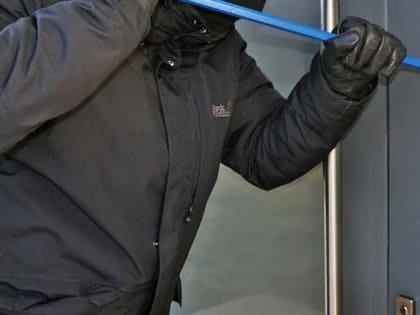 Украл "Вольво" и ворота: в Рыбинске поймали гаражного вора