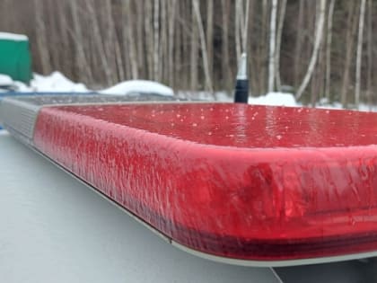 Вылетела на тротуар: в Ярославской области иномарка сбила мужчину