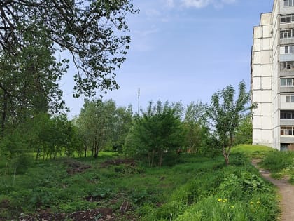 18 тысяч рыбинцев проголосовали за общественную территорию 