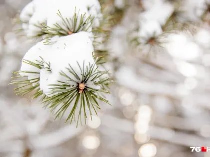 «Температурная аномалия»: синоптики дали прогноз погоды на январь в Центральной России
