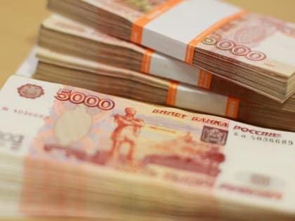 В Ярославле зиц-председателя осудили за обнал 24 миллионов