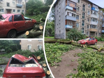 В центре Ярославля дерево упало на «Ладу Калину»