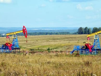 Экономист Делягин назвал плюсы для России от введения потолка цен на нефть