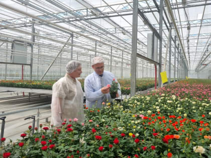 Подписано соглашение о создании в регионе сельскохозяйственного кластера проекта «Профессионалитет»