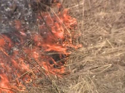 Более 900 патрулирований проведено в Ярославской области для профилактики возгораний в лесах