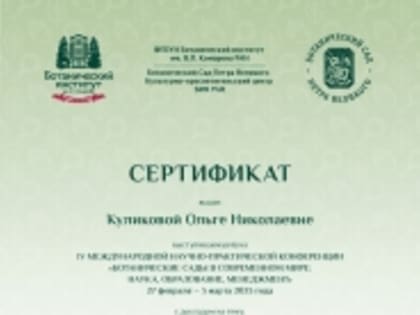 Итоги конференции