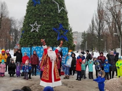 Во всех дворах и районах Ярославля проходят новогодние елки