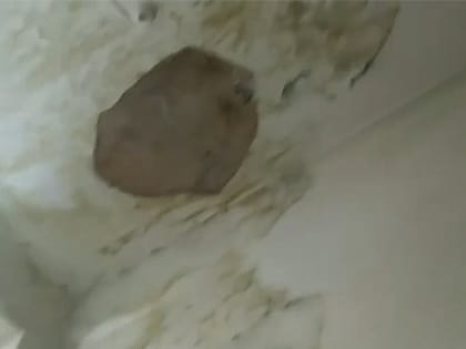 Покушение на мошенничество