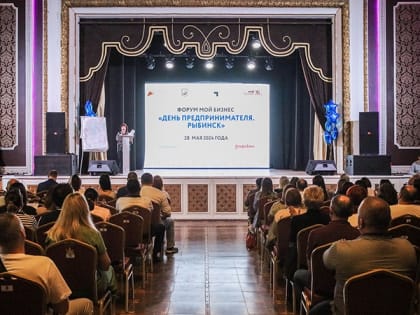 О дистанционном представлении отчетности налоговики рассказали на конференции предпринимателей