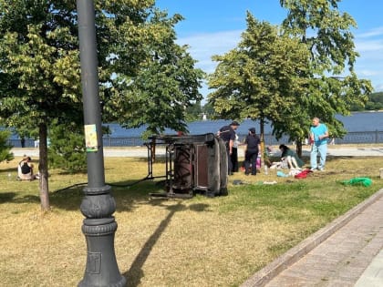 «Не справился со скоростью»: на Стрелке в Ярославле случилось ДТП с конным экипажем