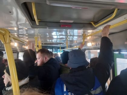 В Ярославле питерский перевозчик сорвал почти 40% плановых рейсов