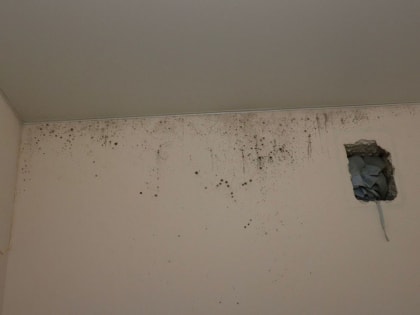 В Рыбинске возбудили уголовное дело о халатности чиновников ярославского департамента