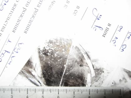 В Ярославской области взяли под стражу подозреваемую в убийстве 32-летнего мужчины