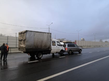 На трассе под Ярославлем потерявшийся шпиц стал причиной ДТП