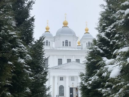 АНОНС БОГОСЛУЖЕНИЙ МИТРОПОЛИТА ВАДИМА НА РОЖДЕСТВО ХРИСТОВО