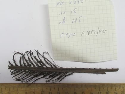 5 октября — День учителя!.