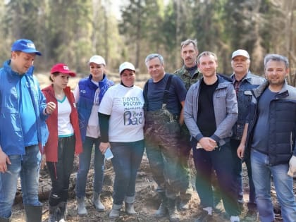 Сотрудники ПФР в парке «Плещеево озеро» высадили более 1000 деревьев