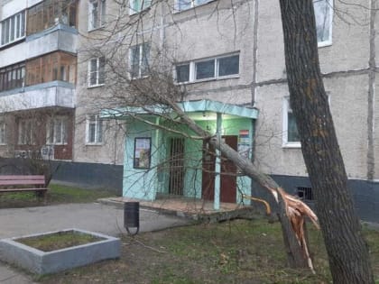 МЧС предупреждает ярославцев об ухудшении погодных условий