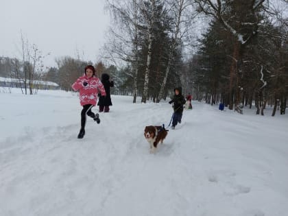 В Ярославле пройдут необычные соревнования «Бегом за хвостом»
