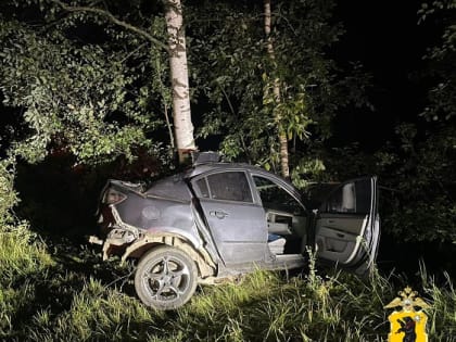Парень и девушка попали в больницу, врезавшись на иномарке в дерево в Рыбинске