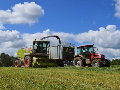 Рекордный урожай зерна собрали в Ярославской области