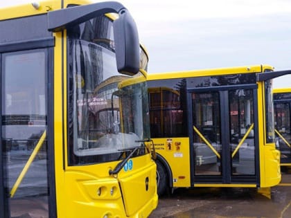 Автобусы на Деминский марафон запустят из Ярославля и Рыбинска