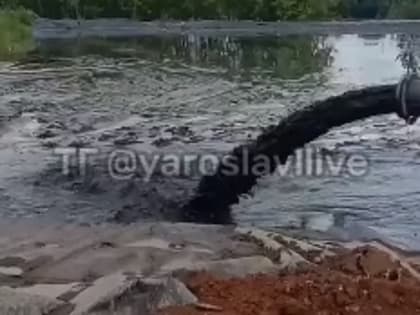 Росприроднадзор накажет ответственных за сброс загрязнений в Которосль в центре Ярославля
