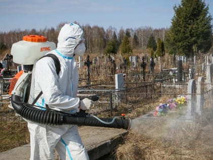 Проблемы экологии и их влияние на здоровье жителей городов