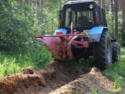 Более 700 километров минерализованных полос создано для защиты лесов от пожаров в Ярославской области