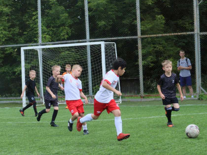 Определились претенденты на медали