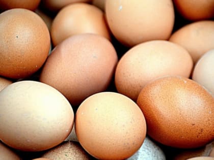 Ярославская область вышла в лидеры ЦФО по производству яиц