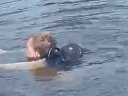 Рухнувшие стены, люди на плоту и котята в шахте: спасатели подвели итоги работы за 2022 год