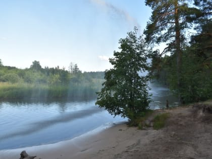 Сброса сточных вод в побелевшую в Ярославской области реку не было