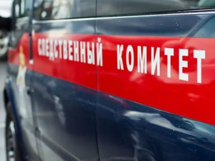 В Рыбинске возбудили уголовное дело по факту смерти 13-летнего подростка