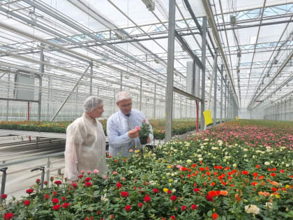 В Ярославской области откроют сельскохозяйственный кластер проекта «Профессионалитет»