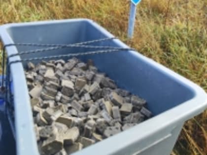 Профилактика бешенства для диких животных