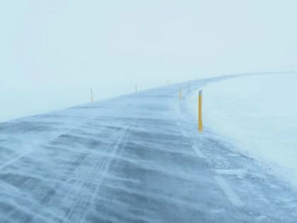 Ярославское МЧС предупреждает о сильном снеге и ухудшении видимости