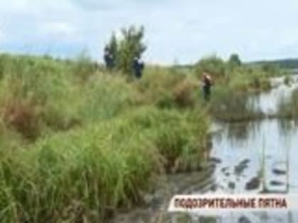 Под Ярославлем на Волге обнаружены километровые масляные пятна: видео