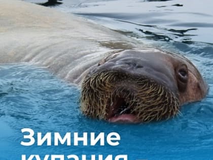 Зимние купания: мнение эксперта Демидовского университета