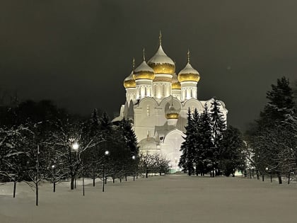 АНОНС БОГОСЛУЖЕНИЙ МИТРОПОЛИТА ВАДИМА НА РОЖДЕСТВО ХРИСТОВО