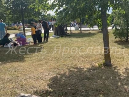 В Ярославле перевернулась карета с пассажирами, запряженная лошадьми