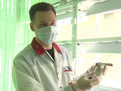 День Российской науки сегодня отмечают в стране