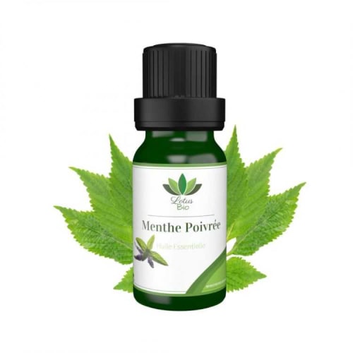 Huile Essentielle de Menthe Poivree Lotus Bio