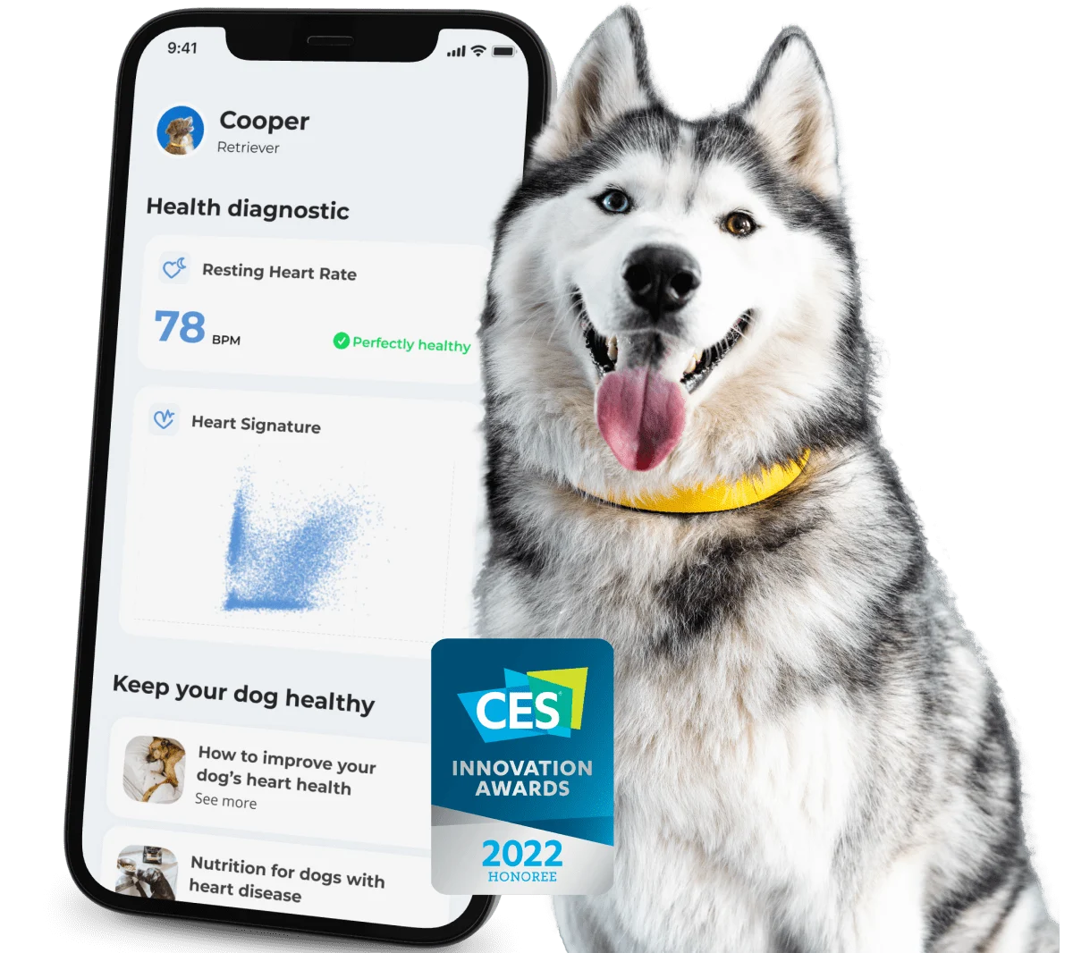 smart-dog-collar-home