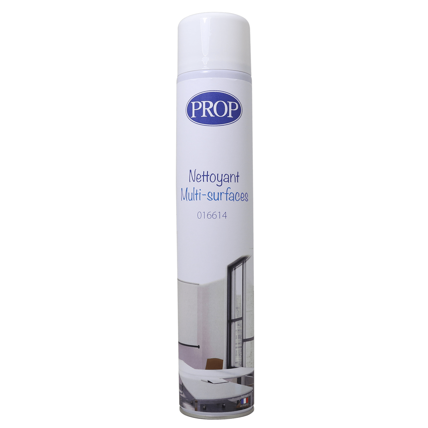 Nettoyant multi-surfaces aérosol de 750ml photo du produit